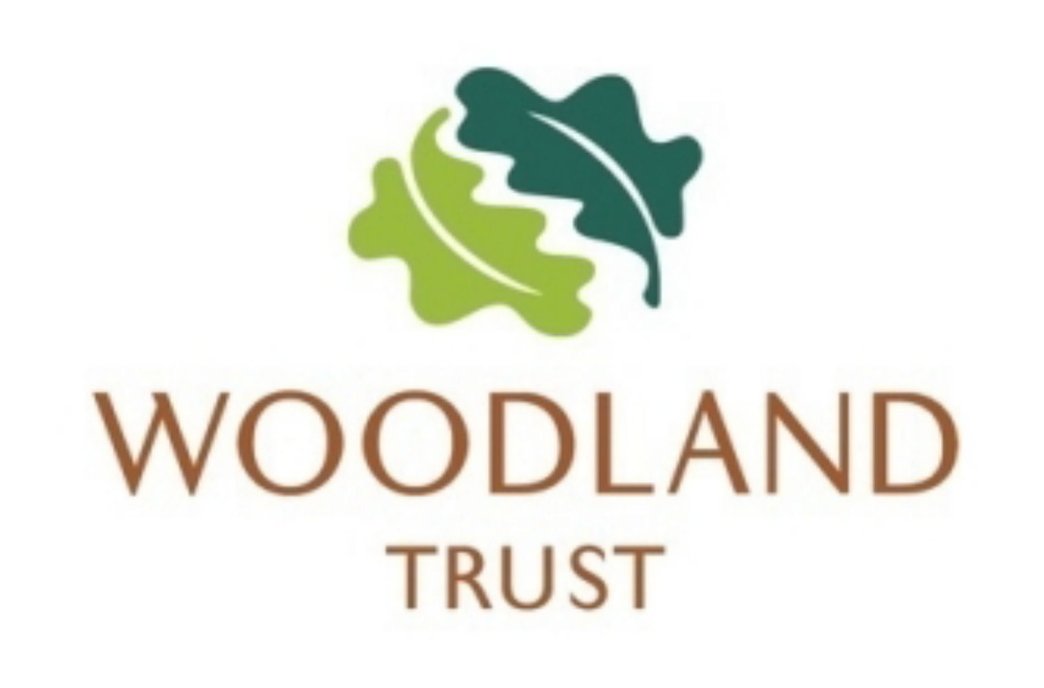 woodland-link-banner_1